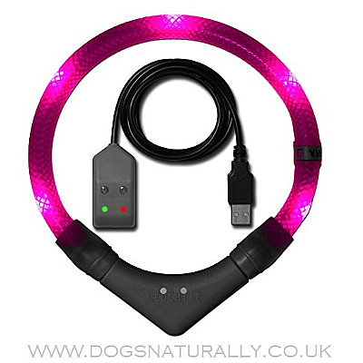 Leuchtie Premium Easy Charge Pink LED Dog Collar